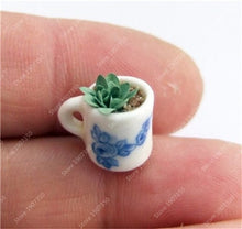 Load image into Gallery viewer, Rare Beauty Mini Succulent Bonsai Potted Flower Bonsai For Home Garden Easy Grow Lithops Pseudotruncatella Bonsai Plants 100 Pcs