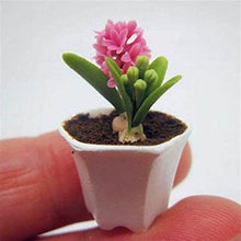 Load image into Gallery viewer, 100pcs Hyacinth Bonsai Perennial Hyacinth potted plant Indoor Plant Easy Grow In Pots Bonsai plant flower for home garden